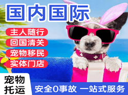 常德桃花源机场物流国际宠物托运 【国